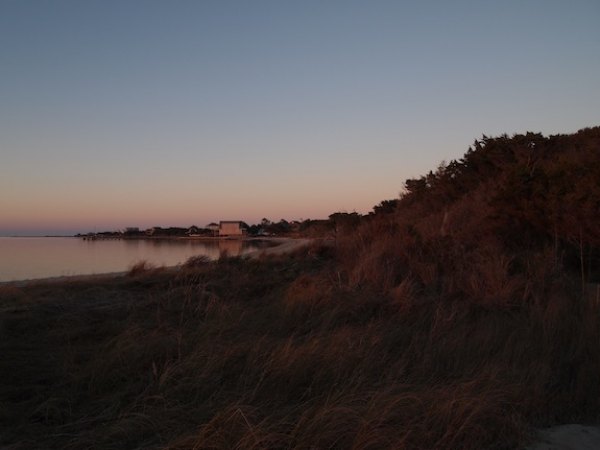 Live Oaks February 2013